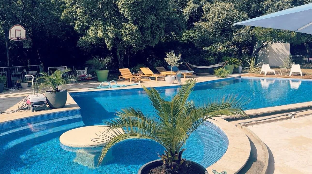 Piscine avec palmier